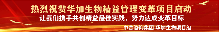 246二四六资料